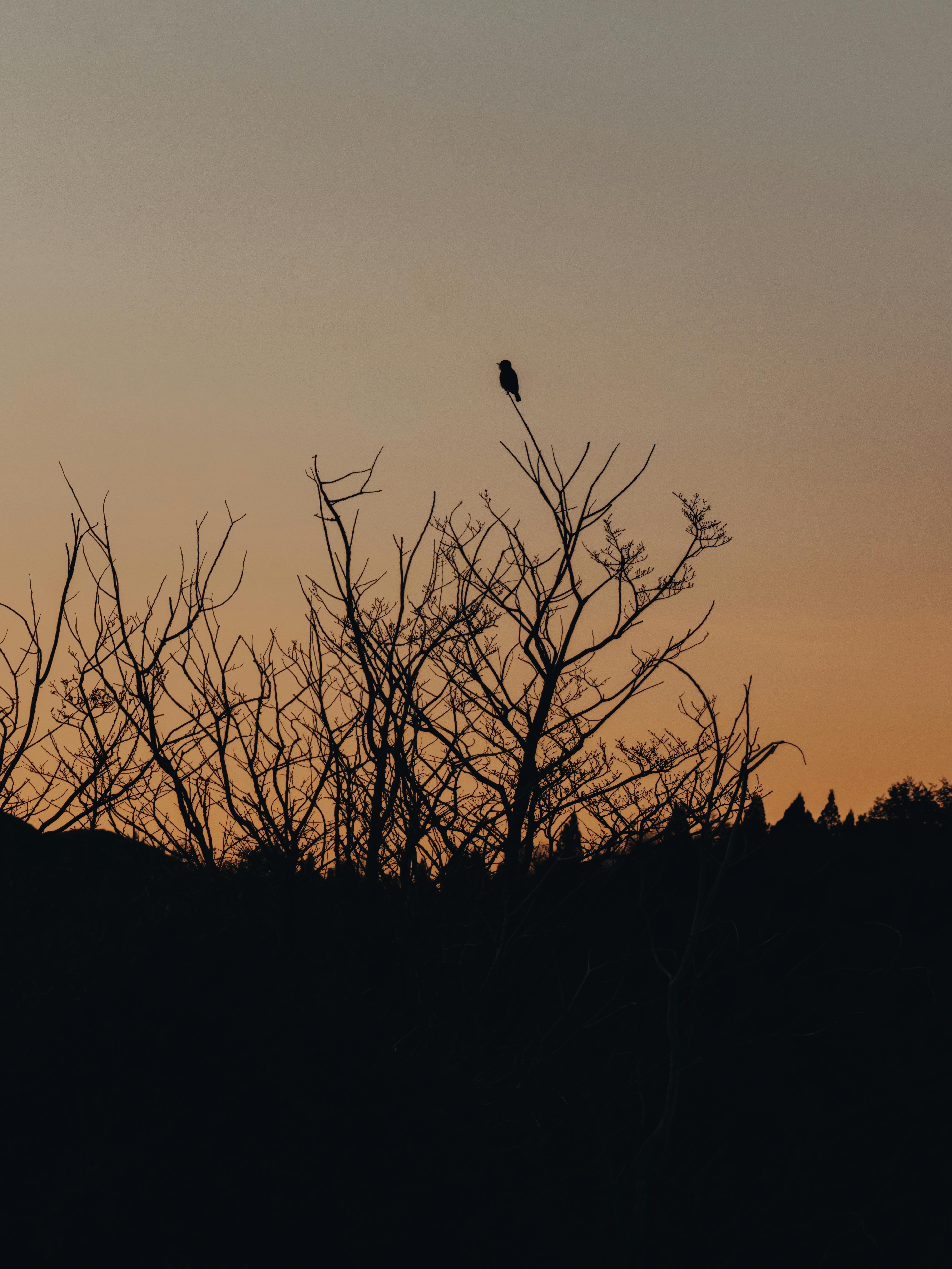 Xiên 3 miền Bắc về cỗ 70-09-69 hôm sau bắt 66-16 | gem88.best - Nhận định chiến lược & khủng hoảng trong xổ số